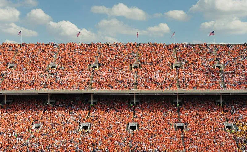 焦点娱乐app下载观星盘飞跃巅峰：赛事平台运动团的创新之路与未来展望