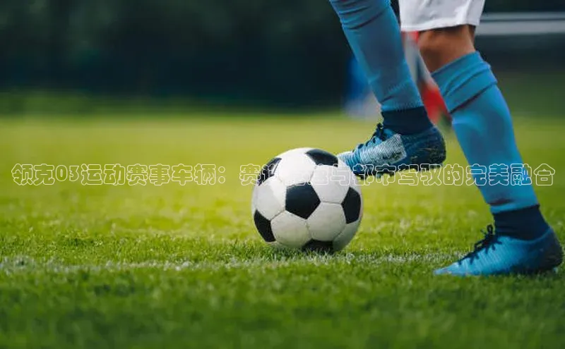 领克03运动赛事车辆：赛道竞速与都市驾驭的完美融合