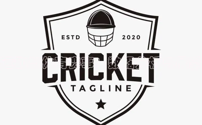 运动与体育赛事：数据分析与展望