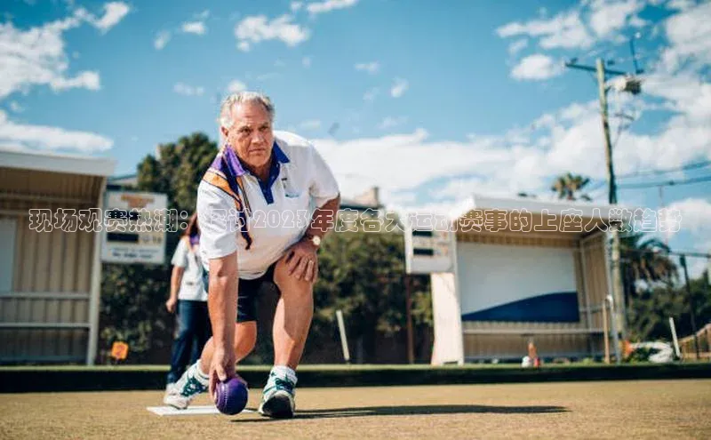 现场观赛热潮：探讨2023年度各大运动赛事的上座人数趋势