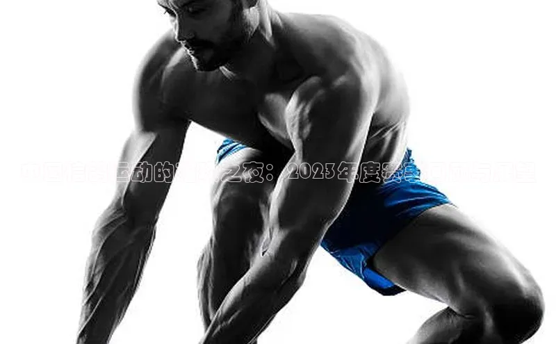 中国信鸽运动的璀璨之夜：2023年度赛事回顾与展望