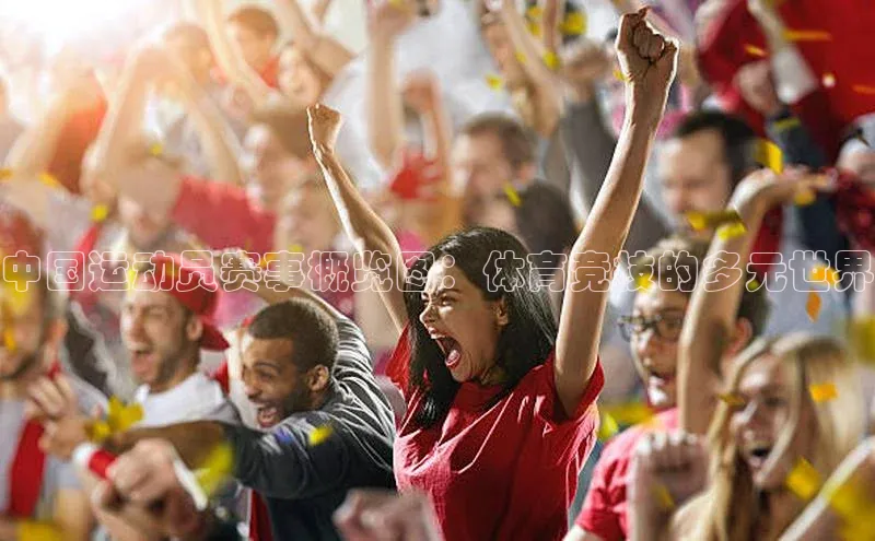 中国运动员赛事概览图：体育竞技的多元世界