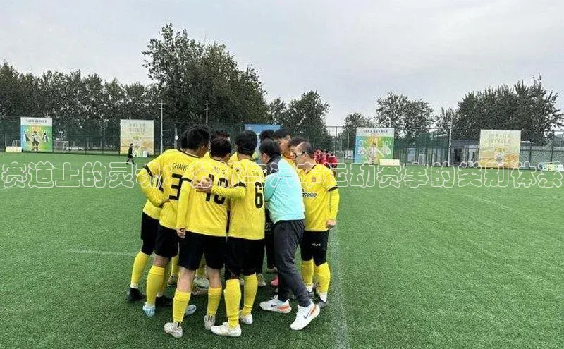 焦点娱乐app下载