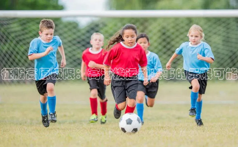 焦点娱乐平台登录