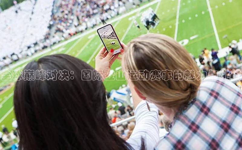 焦点中文app登录入口