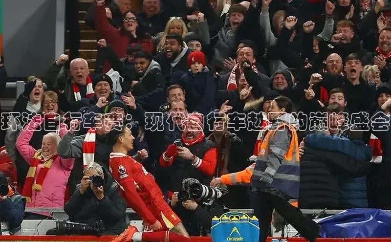 焦点娱乐下载手机版